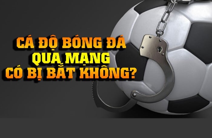 Cá cược bóng đá ở Việt Nam bị phạt như thế nào